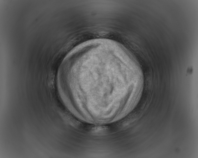 X0000090910274200708271010