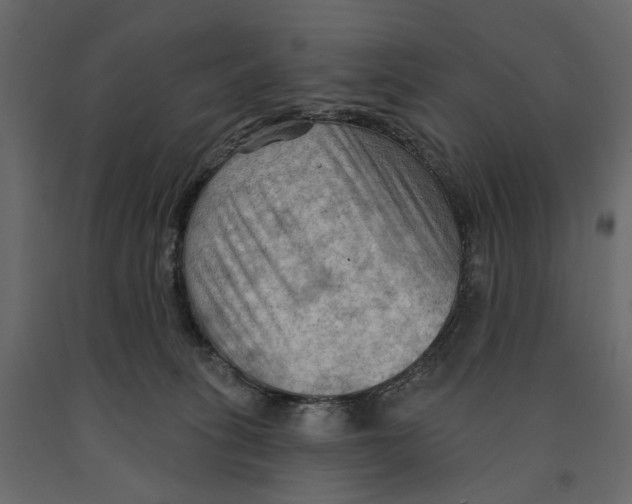 X0000090910275200708271010