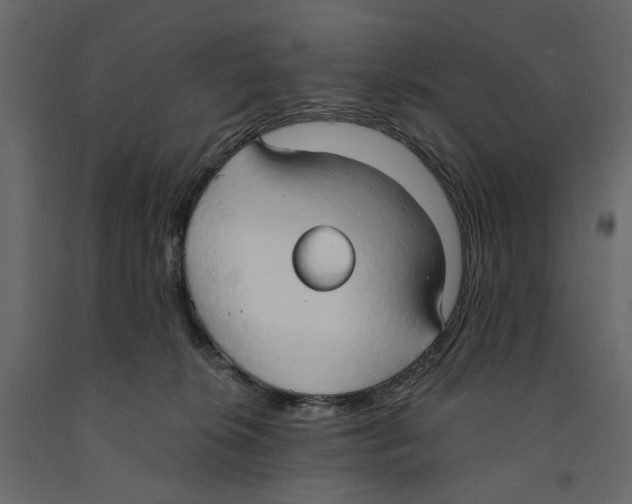 X0000090910276200708271010