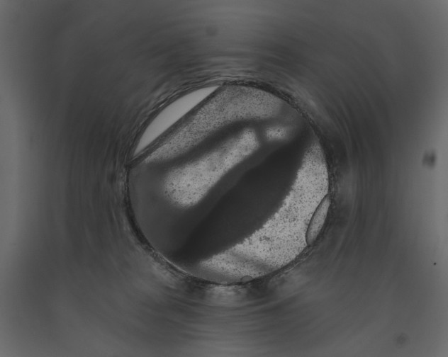 X0000090910277200708271010