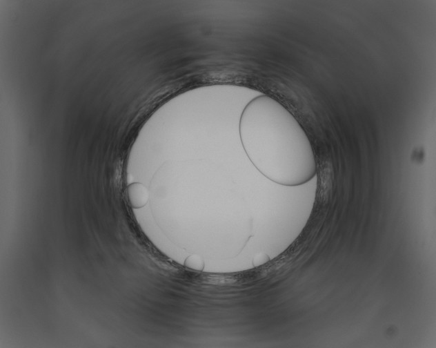 X0000090910278200708271010