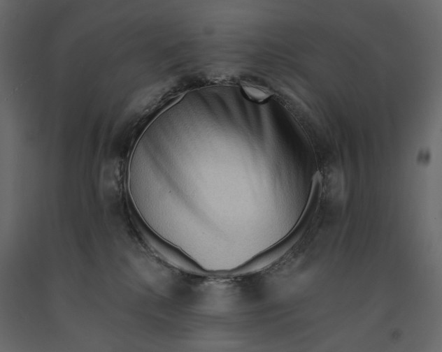 X0000090910280200708271010