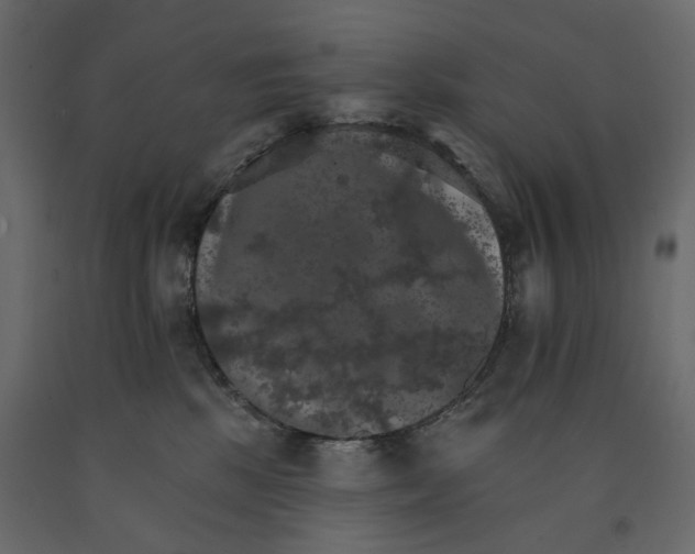 X0000090910281200708271010