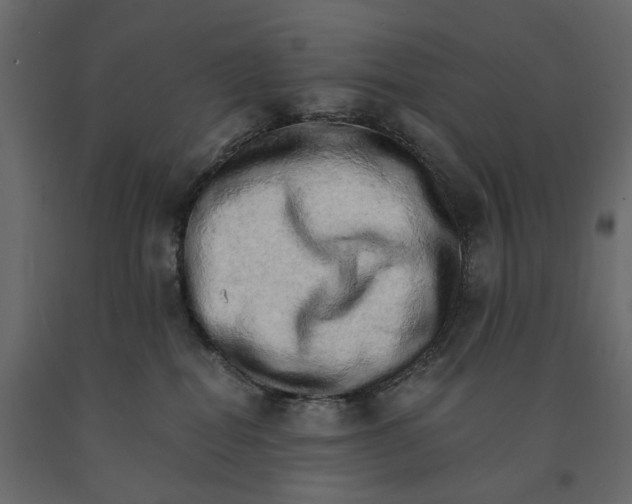 X0000090910282200708271010