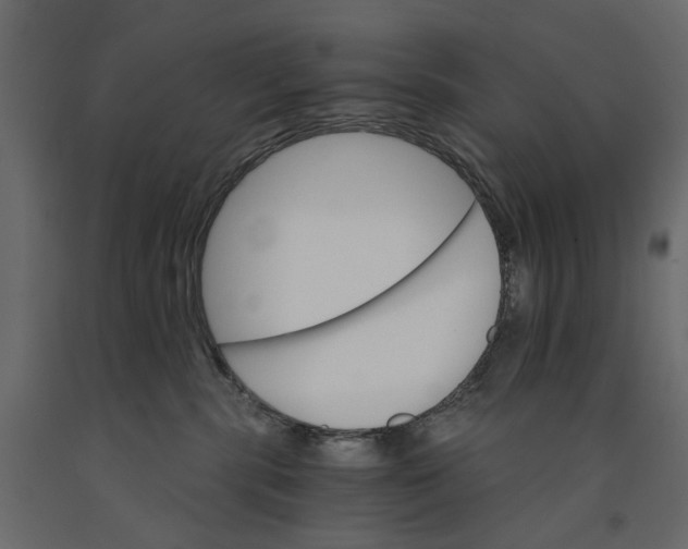 X0000090910283200708271010