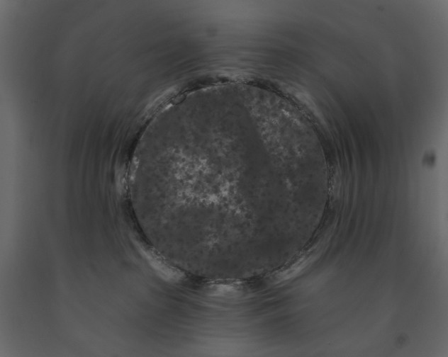 X0000090910285200708271011