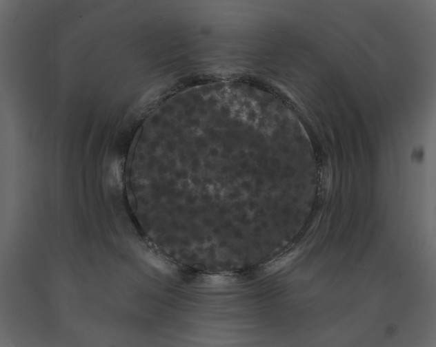 X0000090910286200708271011