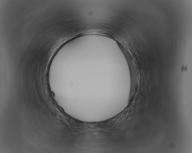 X0000090910289200708271010