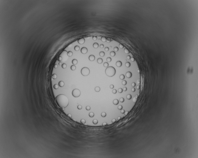 X0000090910291200708271010