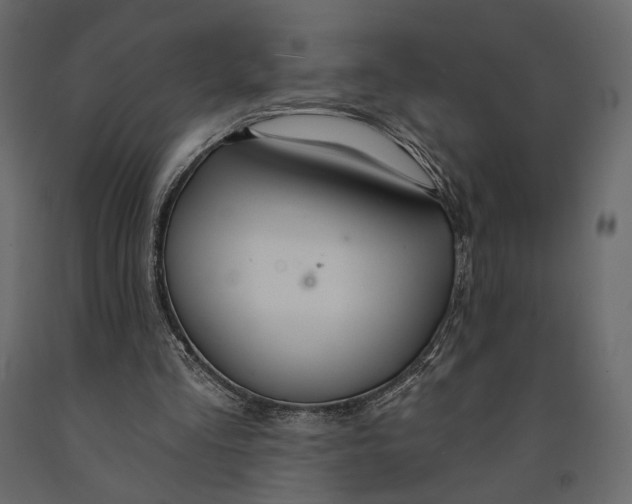 X0000090910293200708271010