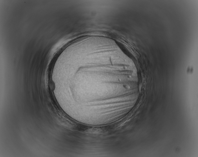 X0000090910294200708271010