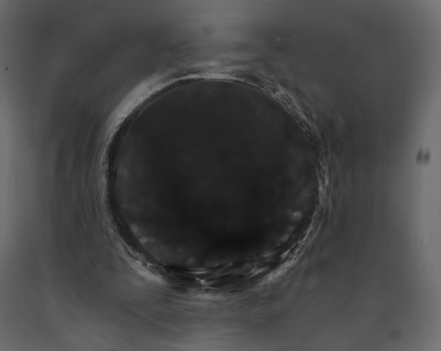 X0000090910295200708271010