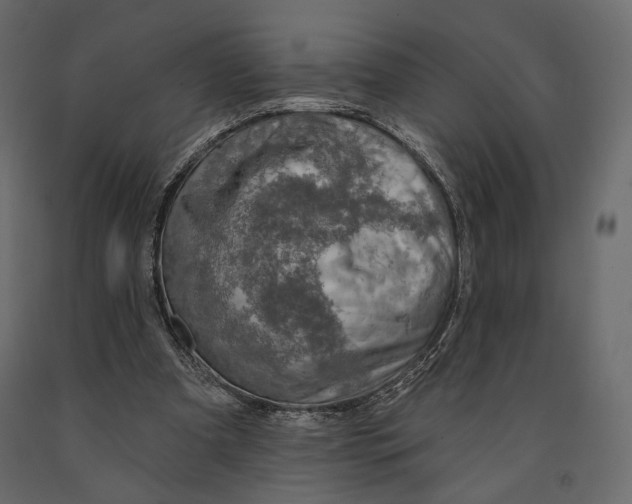 X0000090910297200708271010