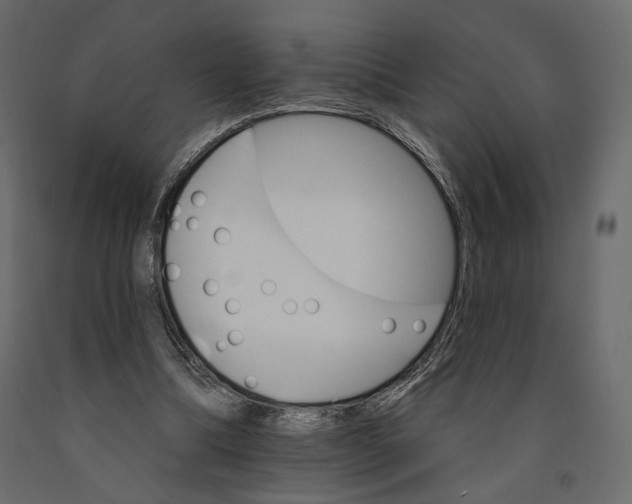 X0000090910298200708271010