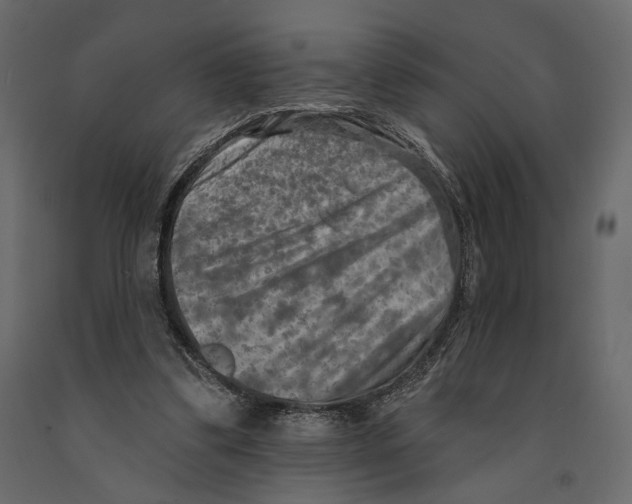 X0000090910299200708271010