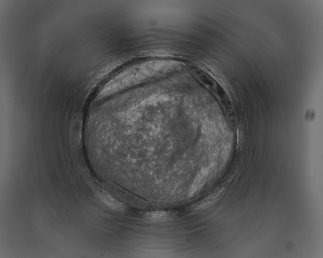 X0000090910301200708271010