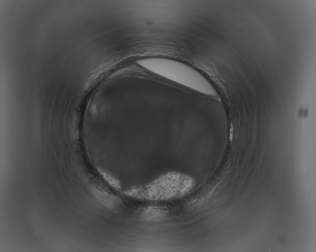 X0000090910303200708271010