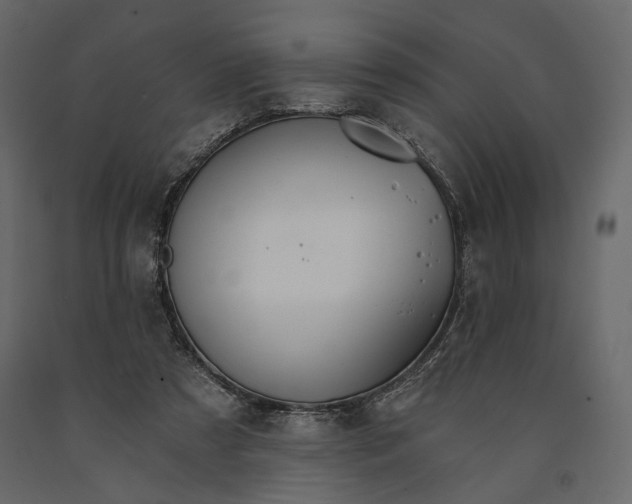 X0000090910305200708271010