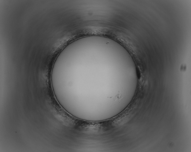 X0000090910306200708271010