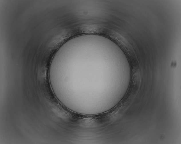 X0000090910310200708271010