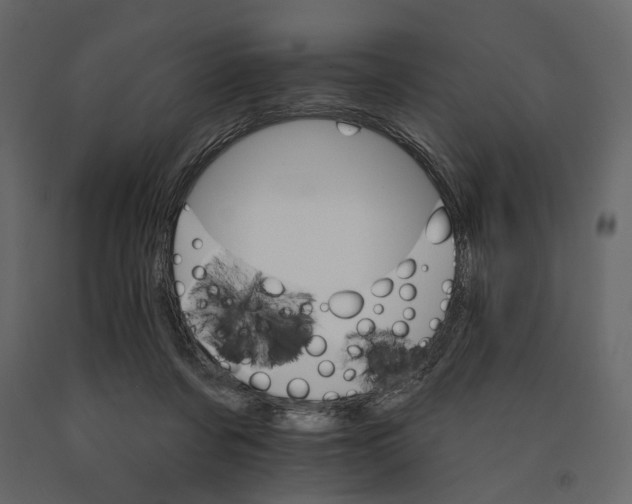 X0000090910311200708271009