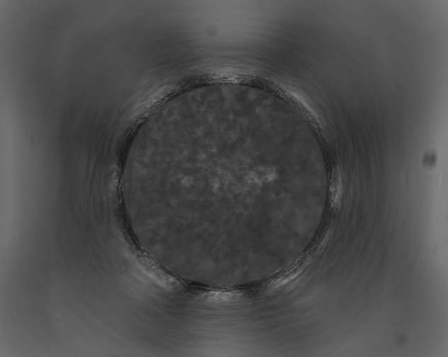 X0000090910314200708271009