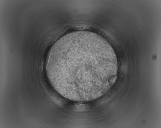 X0000090910315200708271009