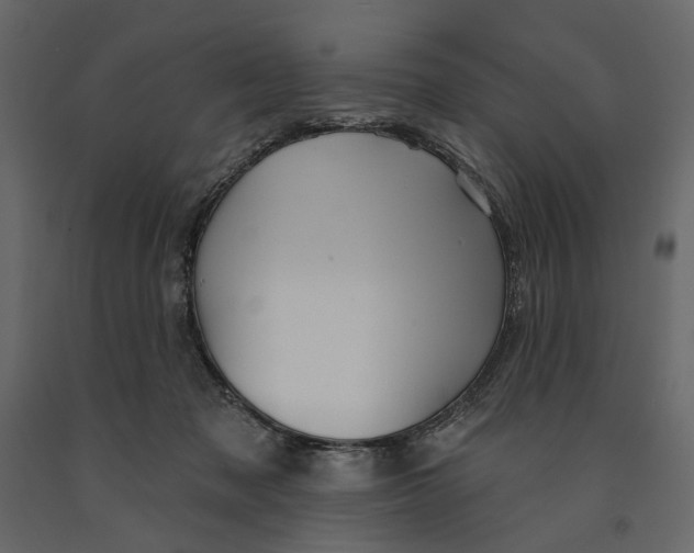 X0000090910317200708271009