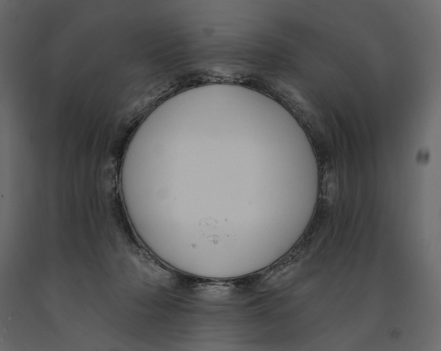 X0000090910318200708271009