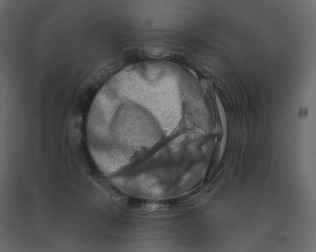 X0000090910319200708271009