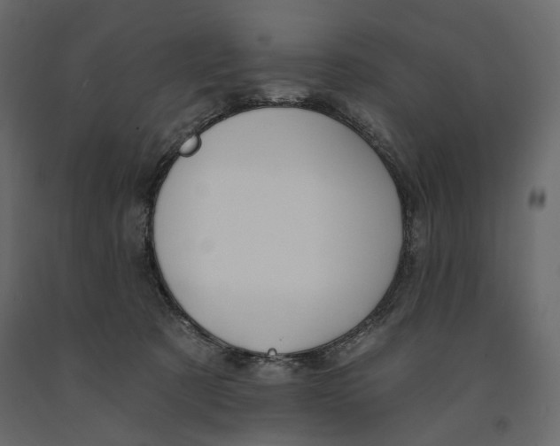 X0000090910321200708271009