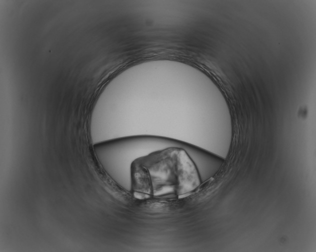 X0000090910325200708271009