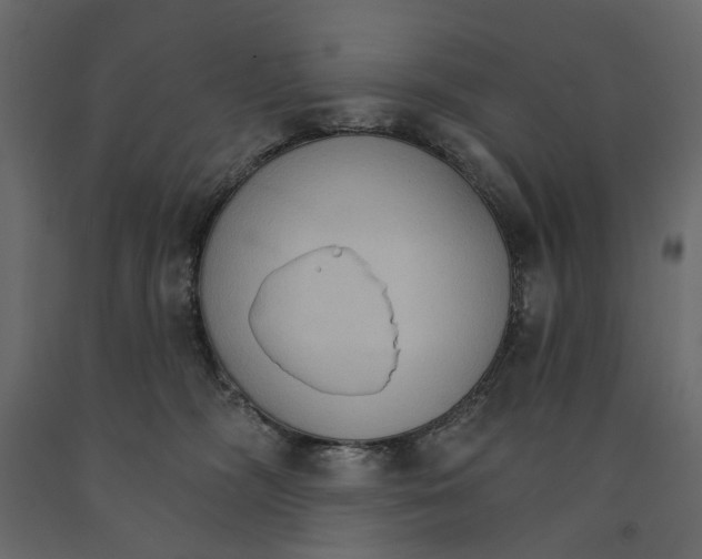 X0000090910326200708271009