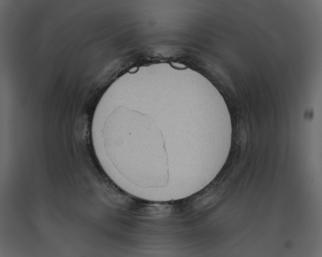 X0000090910328200708271009