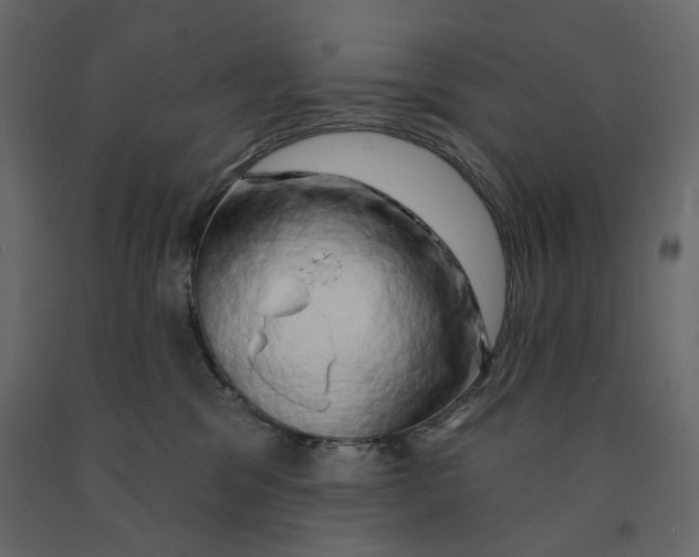 X0000090910329200708271009