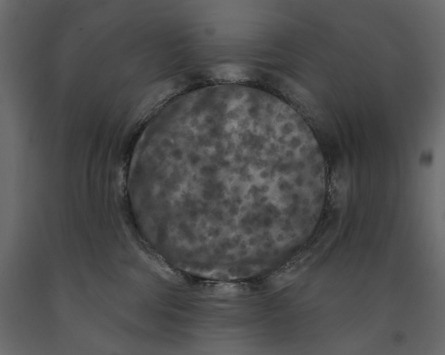 X0000090910330200708271009