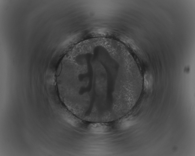 X0000090910331200708271009