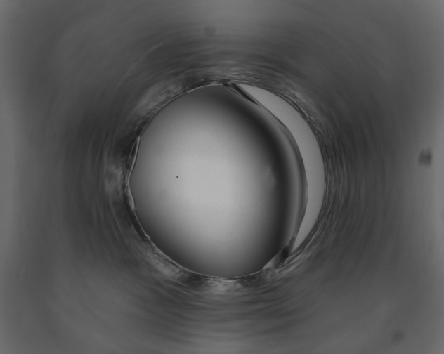 X0000090910333200708271009