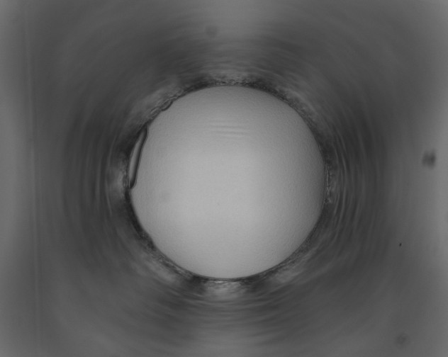 X0000090910334200708271009