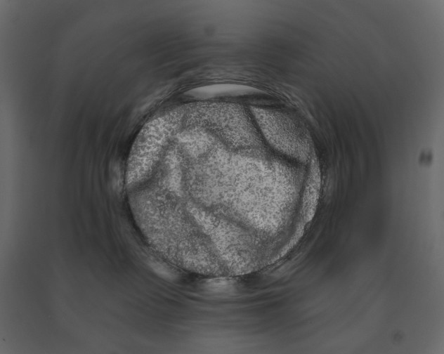 X0000090910335200708271009