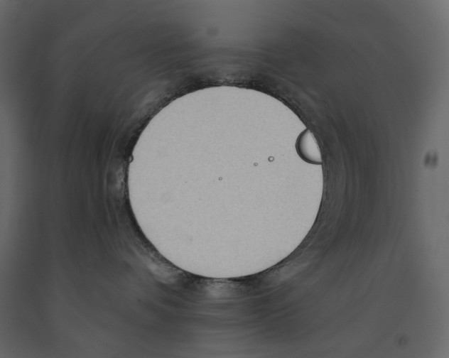 X0000090910336200708271009