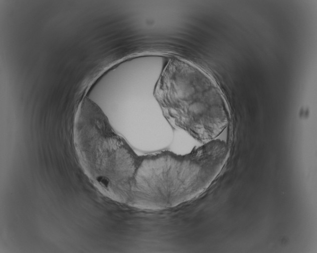 X0000090910337200708271009