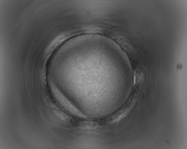 X0000090910339200708271009