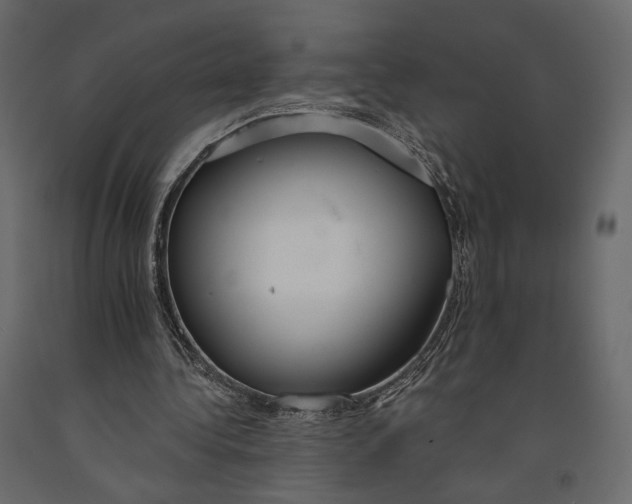 X0000090910340200708271009