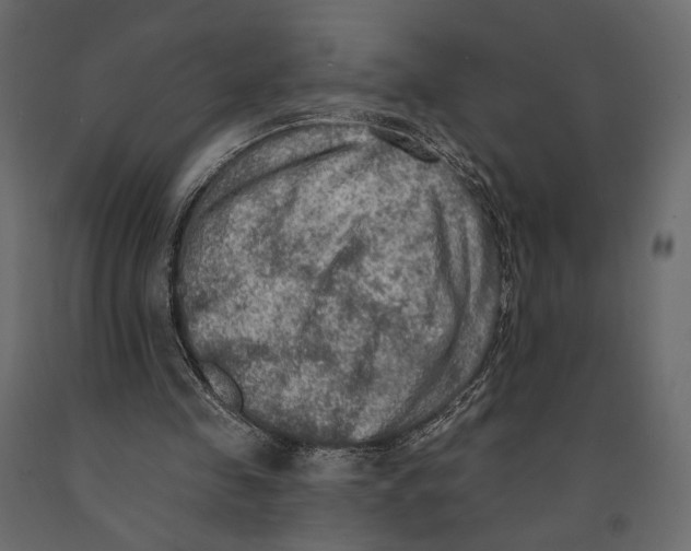 X0000090910341200708271009