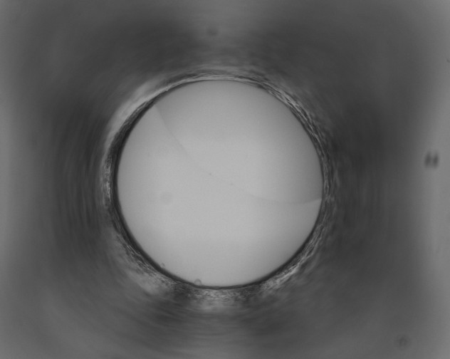 X0000090910343200708271009