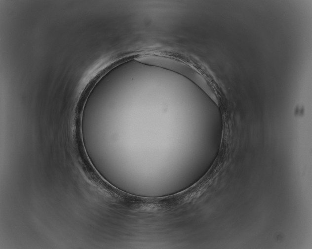 X0000090910344200708271009