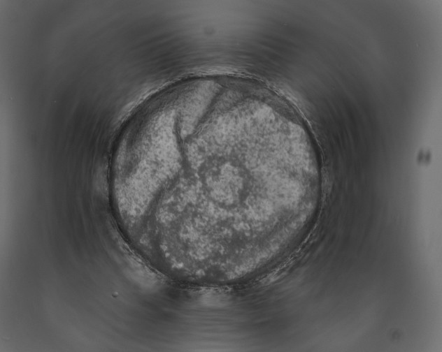 X0000090910345200708271009