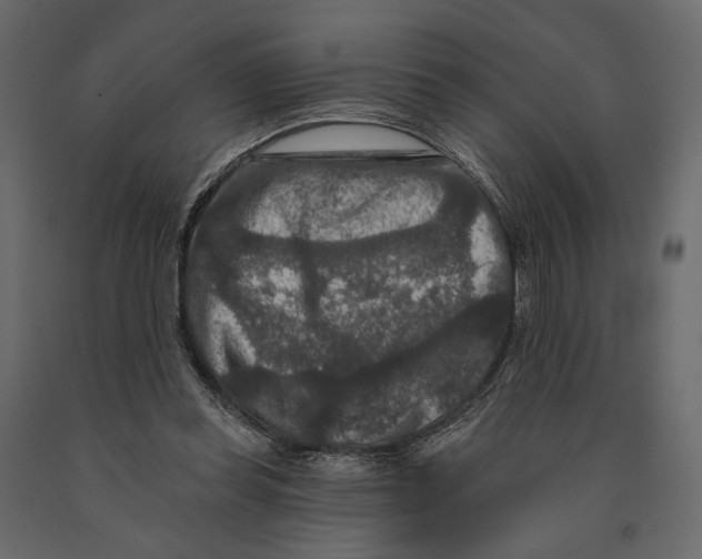 X0000090910349200708271009