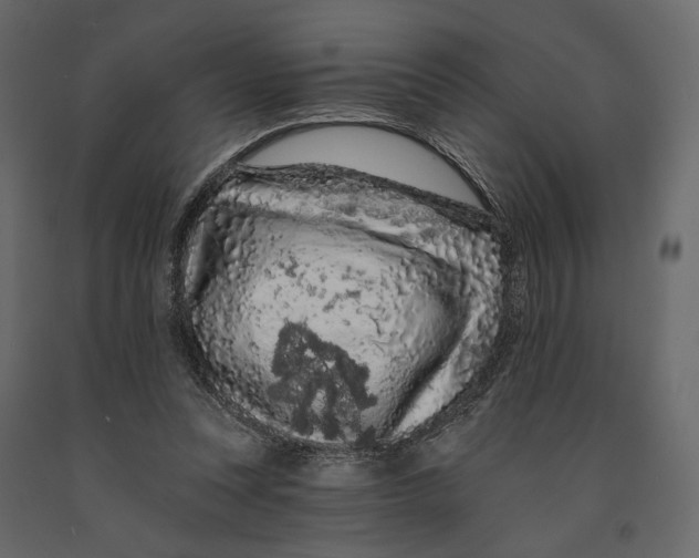 X0000090910351200708271009